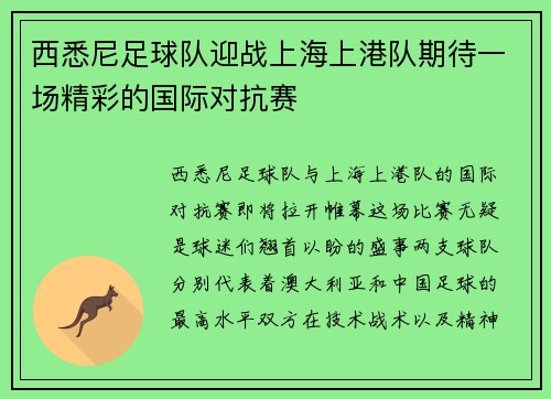 西悉尼足球队迎战上海上港队期待一场精彩的国际对抗赛