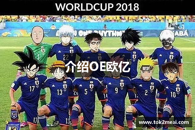 介绍OE欧亿